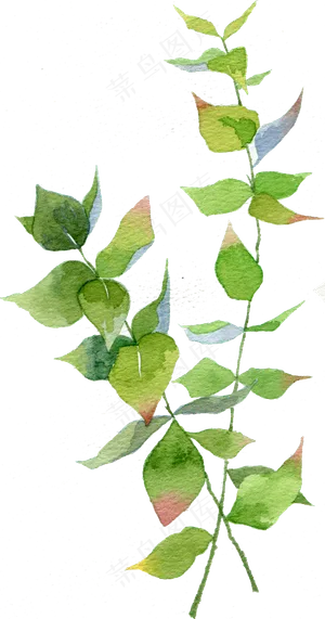 绿叶蓝色叶子水彩树叶水彩植物