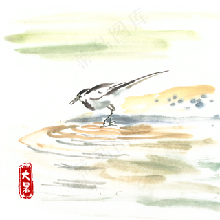 大暑河滩上的鸟