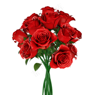 红色玫瑰花,免抠元素