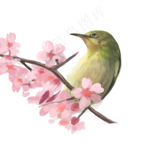 古典中国风花鸟麻雀矢量图,免抠元素