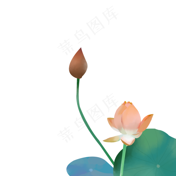 橙色荷花免抠素材下载