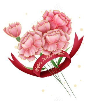 母亲节粉色康乃馨花束