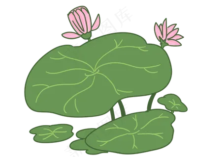 漂亮的荷花荷叶插图