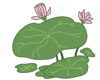 漂亮的荷花荷叶插图