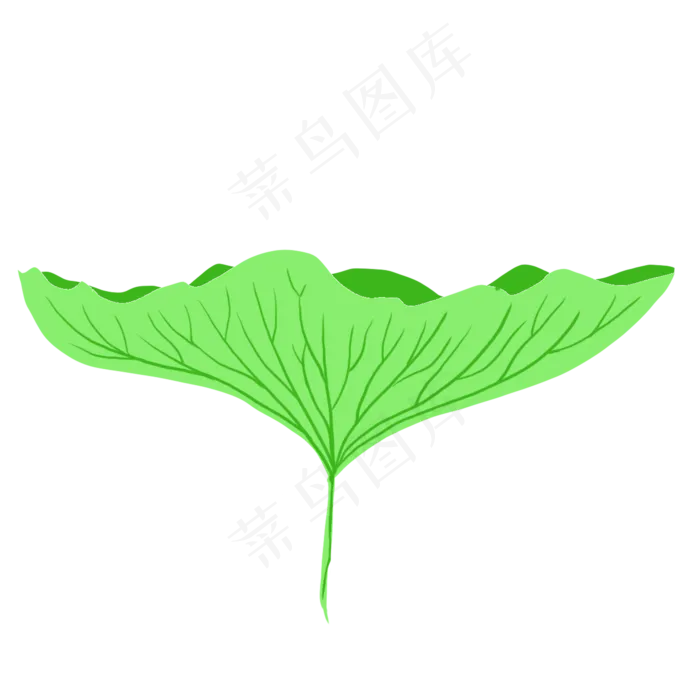 夏天夏至荷叶(2000X2000(DPI:300))psd模版下载