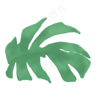 春天植物绿叶下载