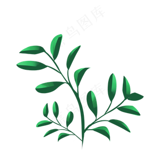 长长深绿色树枝叶子