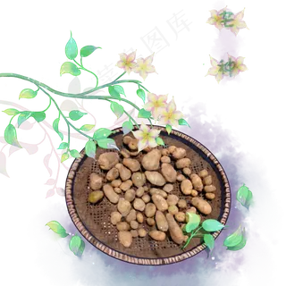 二十四节气芒种