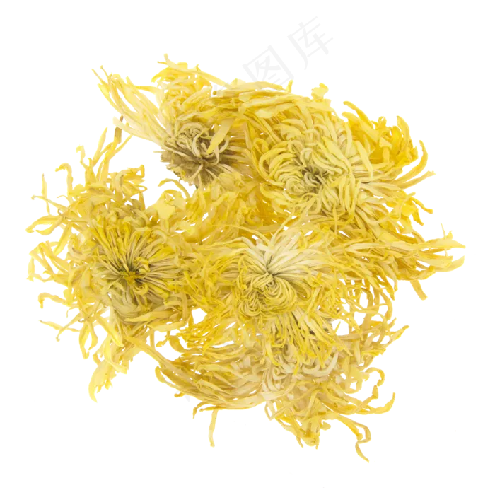 干菊花茶,免抠元素(2000*2000px 300 dpi )