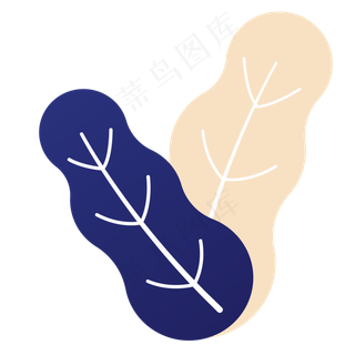 枝叶春季自然植物