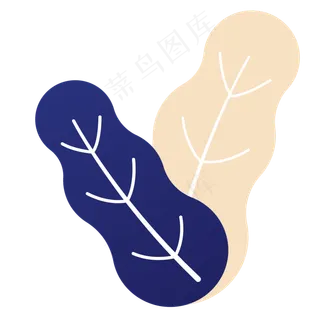 枝叶春季自然植物