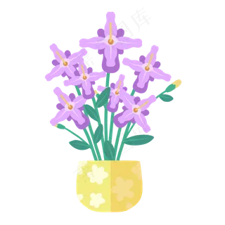 紫色花卉盆栽