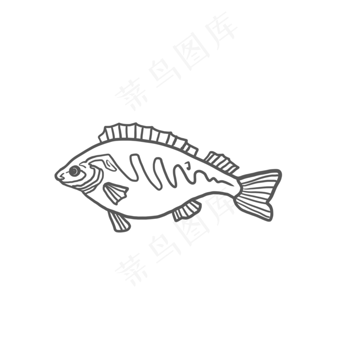 线条海水鱼PNG(2000X2000(DPI:300))psd模版下载