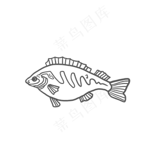 线条海水鱼PNG