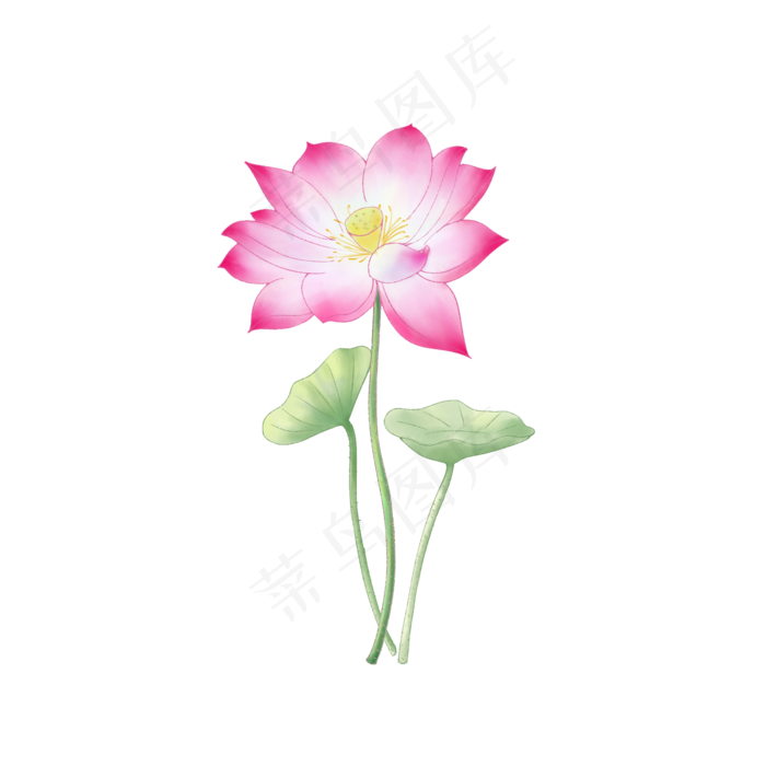 植物荷叶荷花设计(2000X2000(DPI:300))psd模版下载