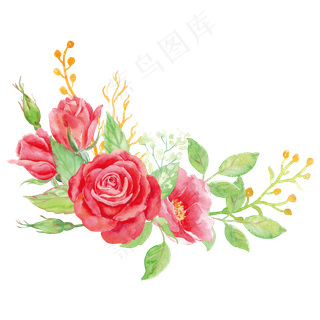 彩色情人节植物花朵