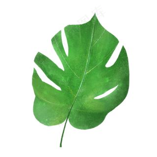 春天绿色水彩树叶