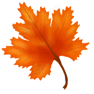 枫叶树叶卡通立秋节气,免抠元素