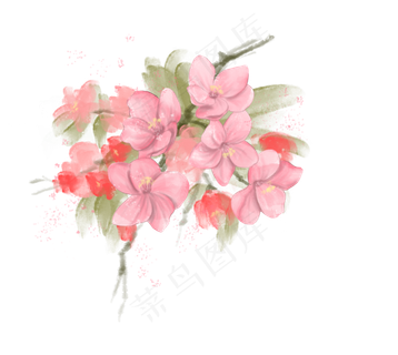 春季粉色海棠花水彩手绘免抠PNG