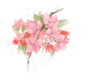春季粉色海棠花水彩手绘免抠PNG
