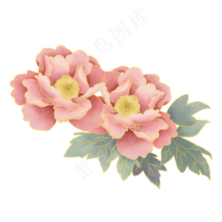 中国风古典手绘牡丹花