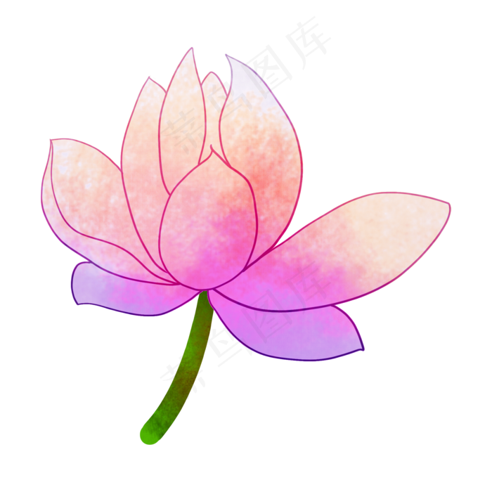 一朵荷花卡通插画