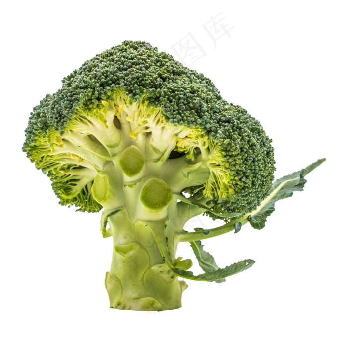 立体花椰菜,免抠元素(1000X1000(DPI:300))psd模版下载