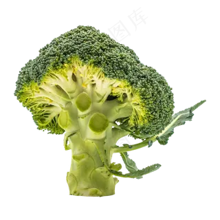 立体花椰菜,免抠元素