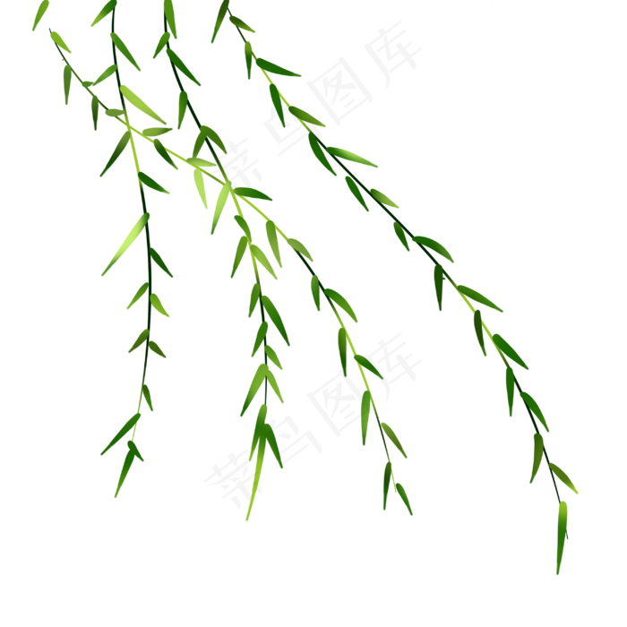 柳树飘手绘装饰图案(3000X3000(DPI:299))psd模版下载