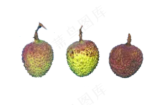 新鲜水果绿色红色荔枝,免抠元素