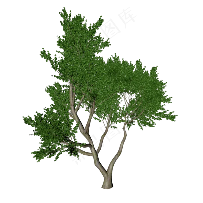 绿色植被树木(2000*2000px 300 dpi )