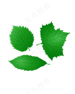 矢量免扣绿色树叶,免抠元素