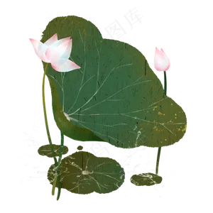 荷叶边框2