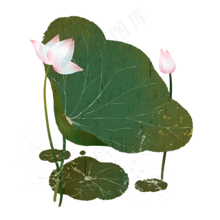 荷叶边框2 荷叶边框2