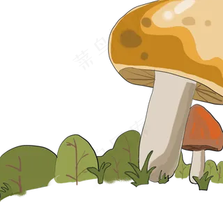 森林蘑菇,免抠元素
