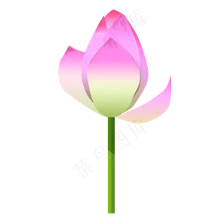 红色盛开的荷花免抠图