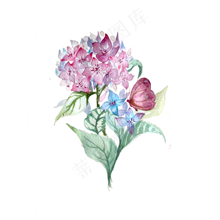 紫色紫罗兰紫红蝴蝶花卉绣球花紫(3000X3000(DPI:300))psd模版下载