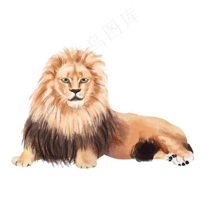 野生动物万兽之王草原雄狮,免抠元素(3000*3000px 300 dpi )psd模版下载