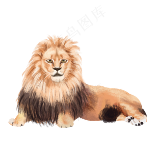 野生动物万兽之王草原雄狮,免抠元素