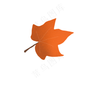 阳光照射的梧桐叶装饰素材,免抠元素