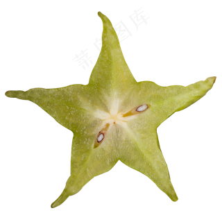 实拍果园果树水果杨桃