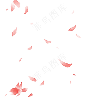 飘浮花瓣,免抠元素