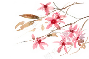 粉红色的花水彩画PNG免抠素材