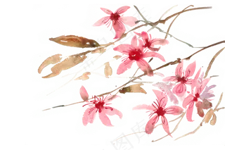 粉红色的花水彩画PNG免抠素材