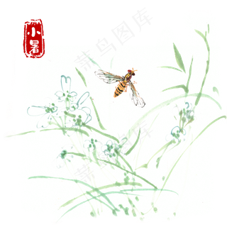 小暑绿叶与蜜蜂