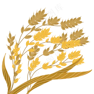 手绘秋天金黄的麦穗2,免抠元素