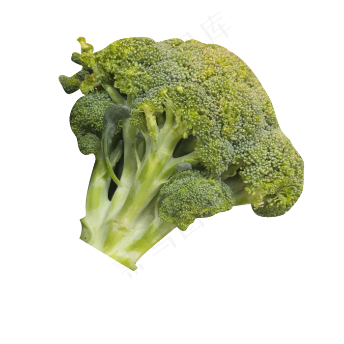 绿色西蓝花(2500*2500px 300 dpi )