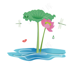 手绘盛开的荷花