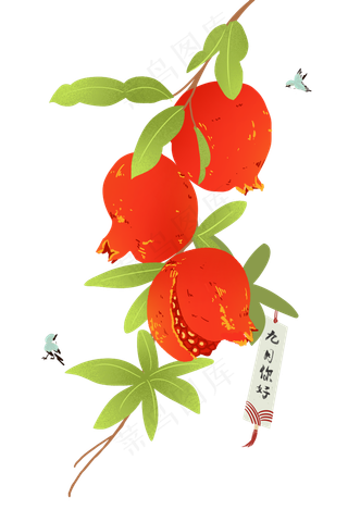 夏日水果之美味石榴