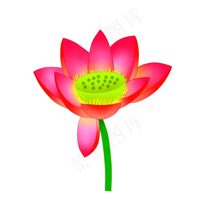 一朵盛开的荷花PNG图案(4000X4000(DPI:300))psd模版下载